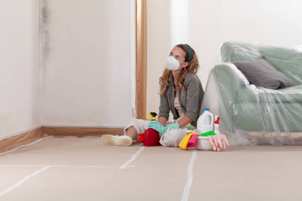 Reliable Mold Remediation contractor in Crystal Beach, FL by WQB Mold Removal
